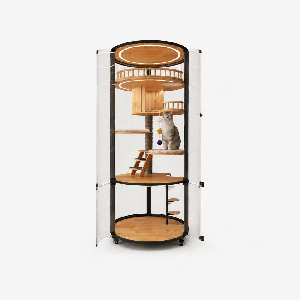 Floating city cat villa