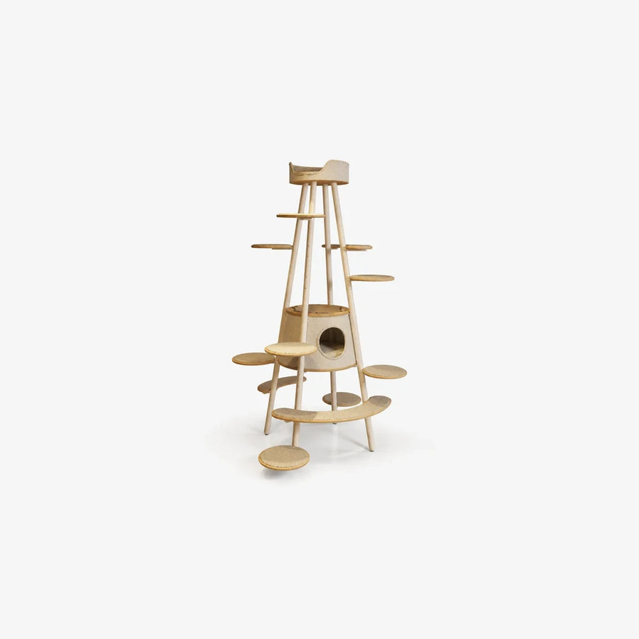 Jumping cat climbing tree