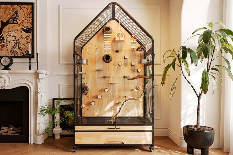 Maison Grande Volière de Luxe avec Intérieur