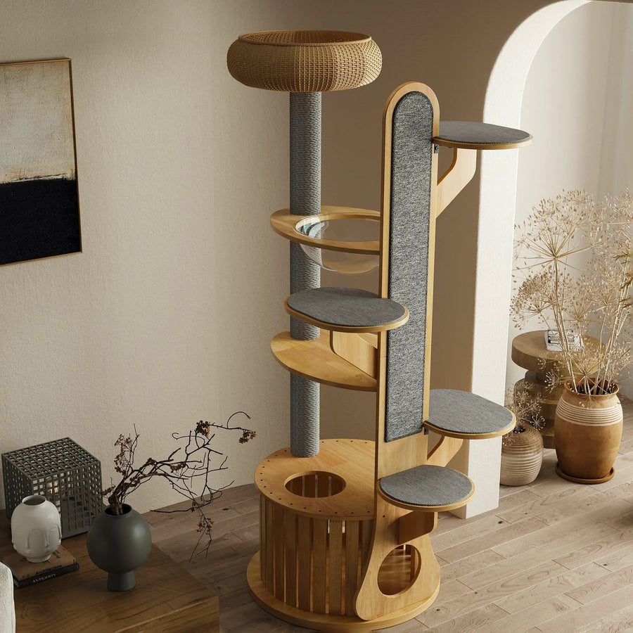 Oasis of the Desert Arbre à Chat Design
