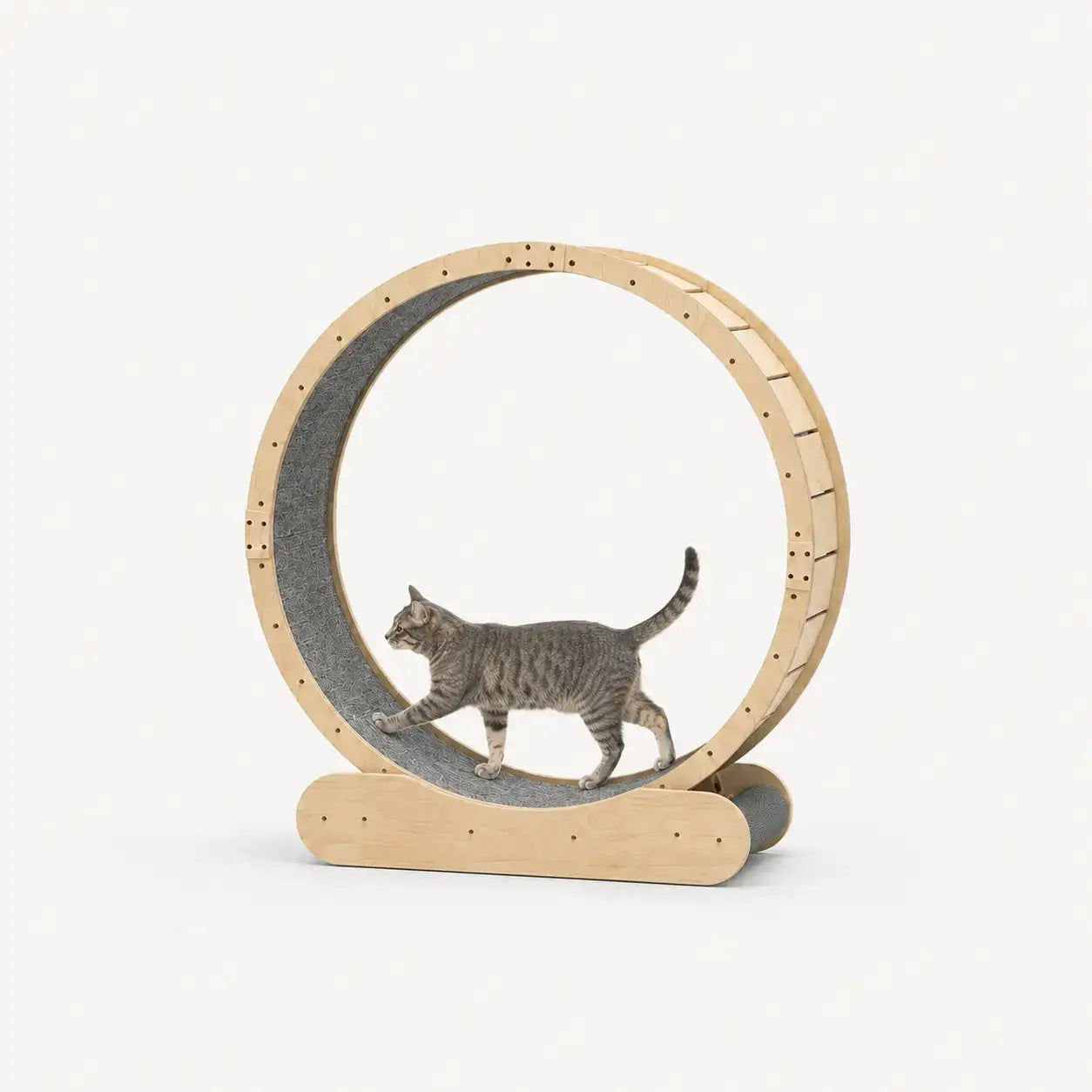 Aurelia Roue d'Exercice pour Chats