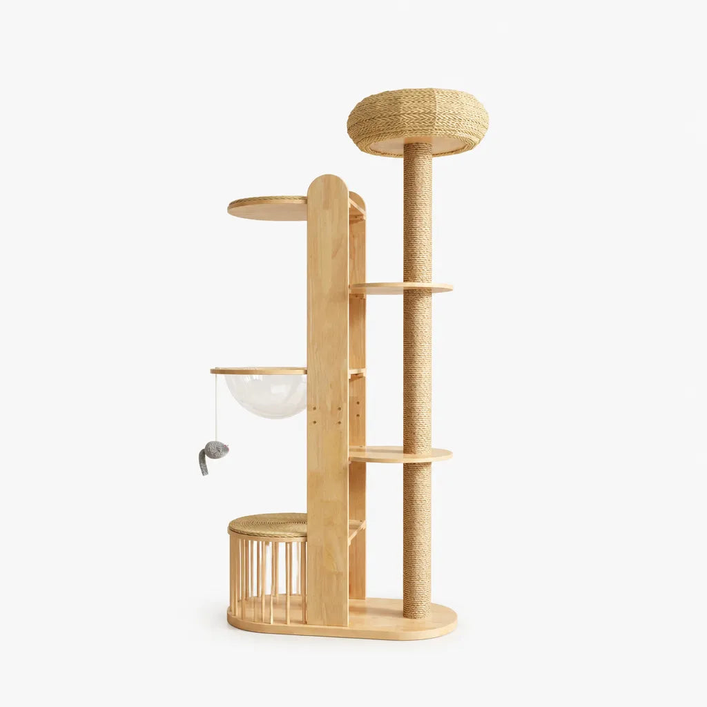 Yulan Meuble d'Escalade de Luxe pour Chats