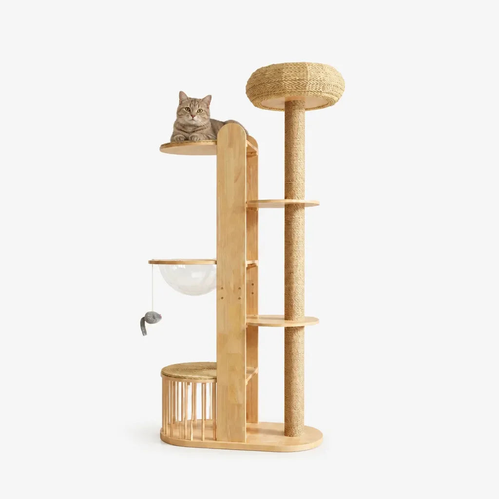Yulan Meuble d'Escalade de Luxe pour Chats