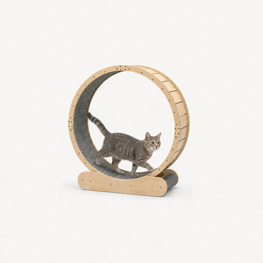 Aurelia Roue d'Exercice pour Chats